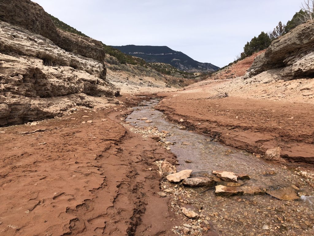 Water in motion at Berry's Landing, Montana